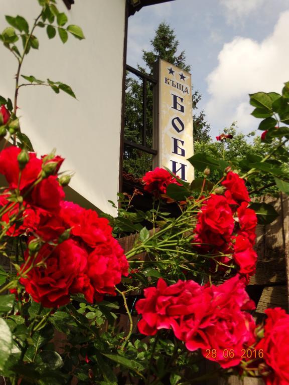 Bobi Guest House Koprivshtitsa Ngoại thất bức ảnh